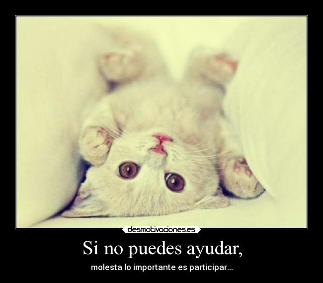 Si no puedes ayudar, - molesta lo importante es participar...