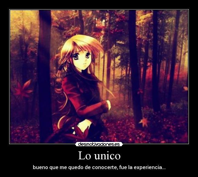 Lo unico - bueno que me quedo de conocerte, fue la experiencia...