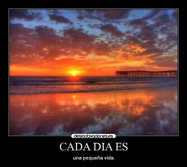CADA DIA ES - una pequeña vida.