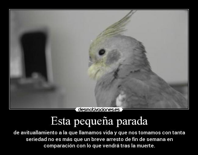 Esta pequeña parada -