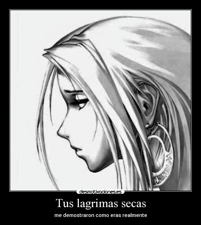 carteles cocodrilos lagrimas secas desmotivaciones