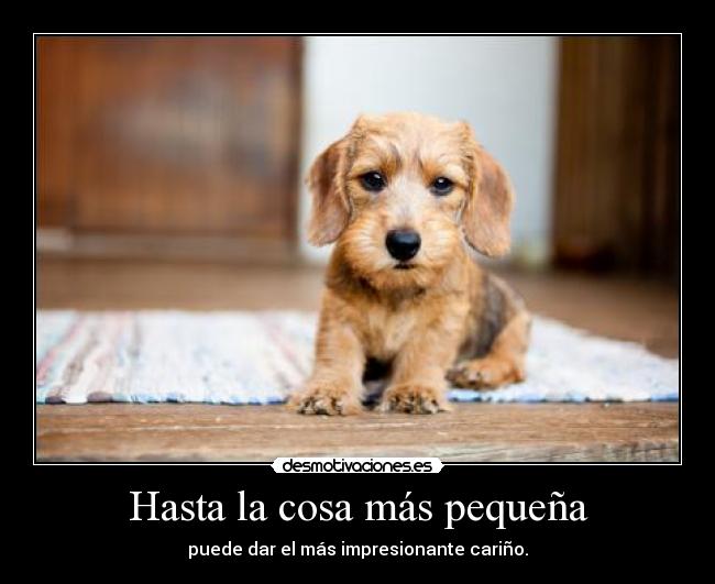 carteles cosas desmotivaciones