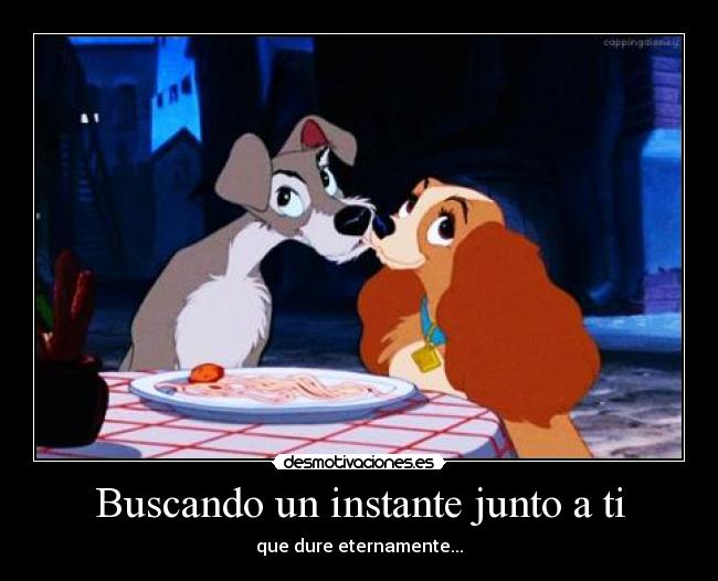 carteles buscando instante junto desmotivaciones