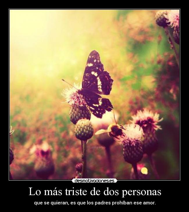 carteles amor prohibido desmotivaciones