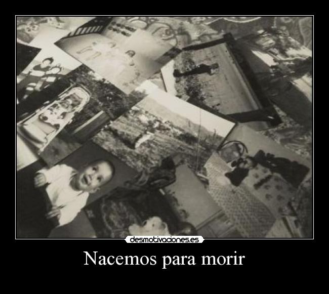 carteles itsfreeusuario estamos aqui instante que queramos dejamos huella desmotivaciones