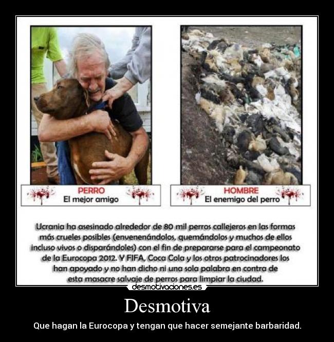 carteles eurocopa desmotivaciones