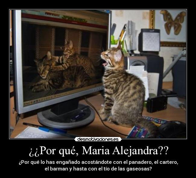 ¿¿Por qué, Maria Alejandra?? - ¿Por qué lo has engañado acostándote con el panadero, el cartero,
el barman y hasta con el tío de las gaseosas?