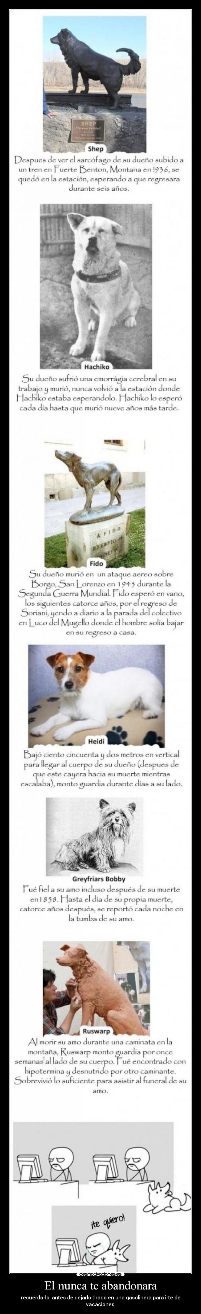 El nunca te abandonara - recuerda-lo antes de dejarlo tirado en una gasolinera para irte de vacaciones.