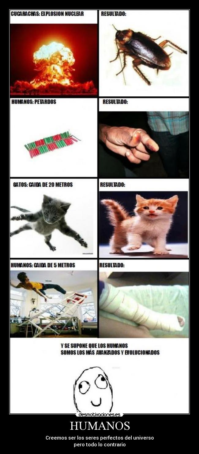 carteles humano desmotivaciones