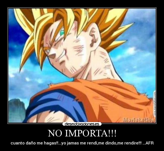 NO IMPORTA!!! -