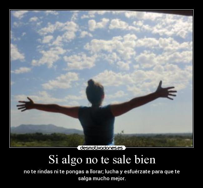 Si algo no te sale bien - 