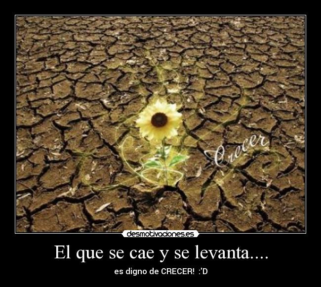 El que se cae y se levanta.... - 