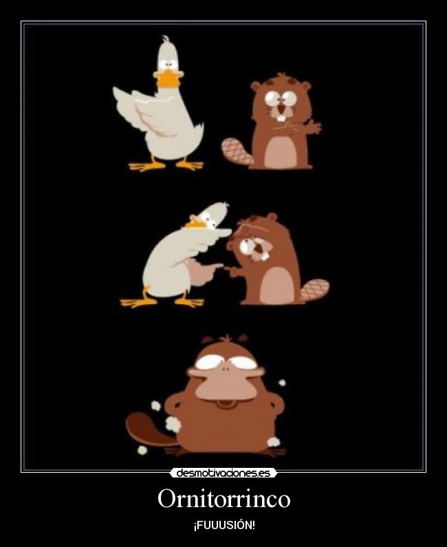 Ornitorrinco - ¡FUUUSIÓN!