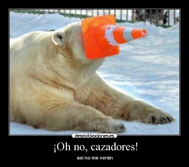 ¡Oh no, cazadores! - así no me verán