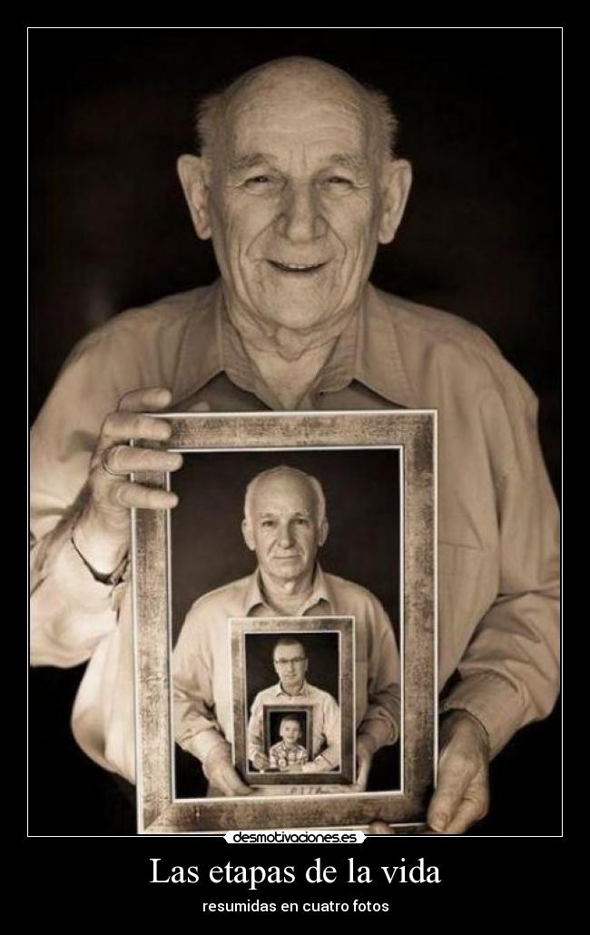 Las etapas de la vida -