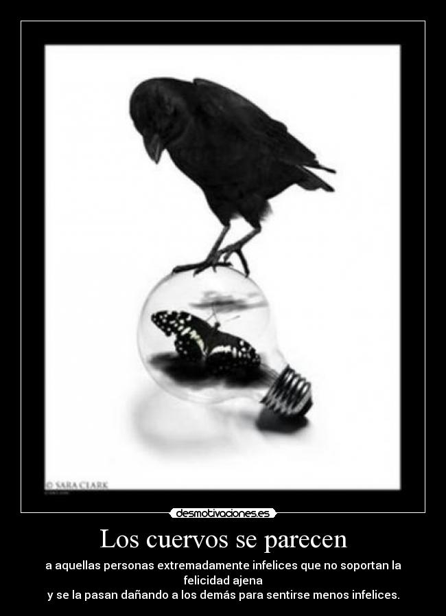 Los cuervos se parecen -