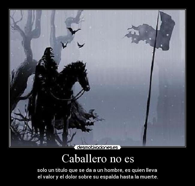 carteles caballero desmotivaciones