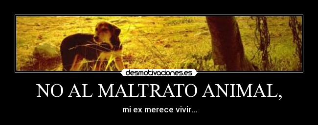 NO AL MALTRATO ANIMAL, - 