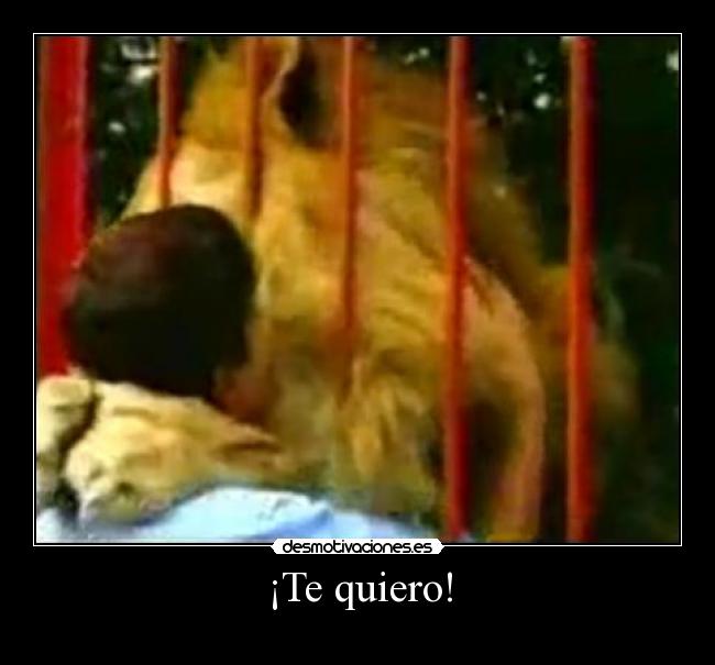 ¡Te quiero! -