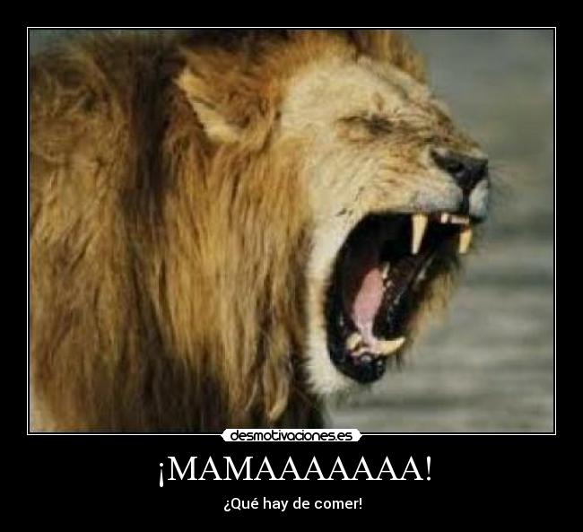 carteles leon desmotivaciones