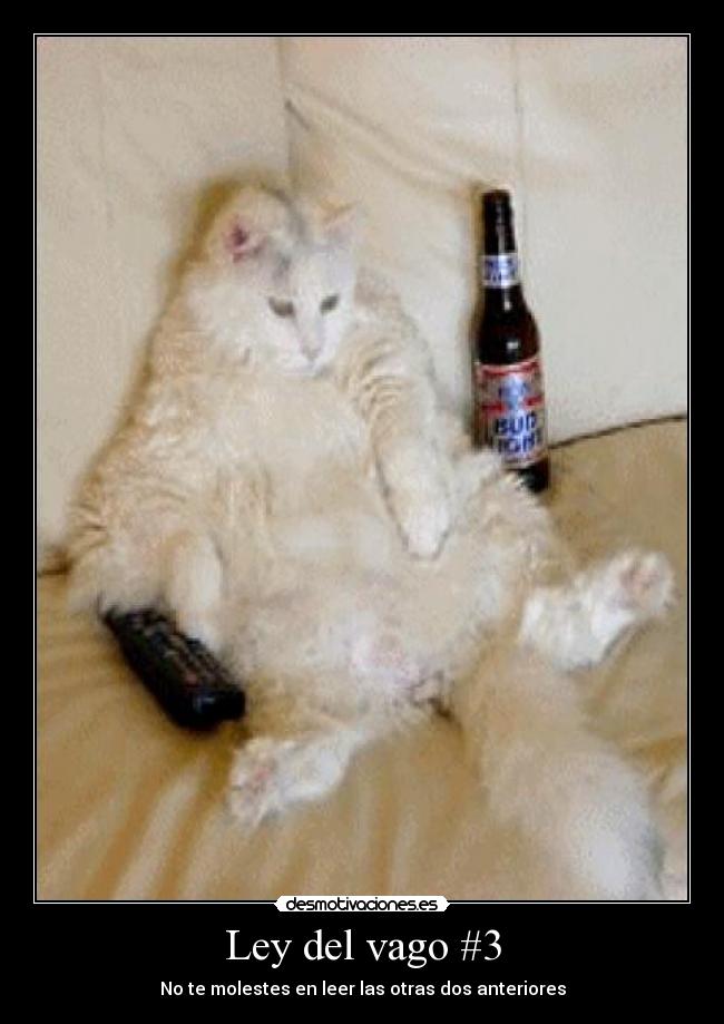Ley del vago #3 - No te molestes en leer las otras dos anteriores