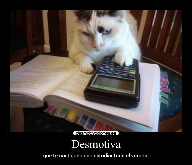 Desmotiva - que te castiguen con estudiar todo el verano .