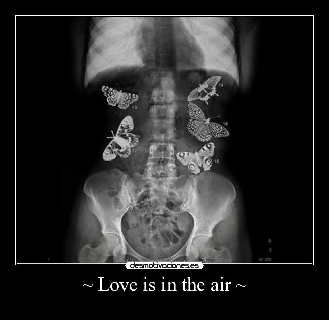 ~ Love is in the air ~ -
