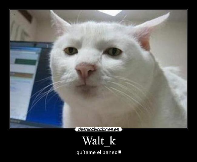 carteles miau desmotivaciones