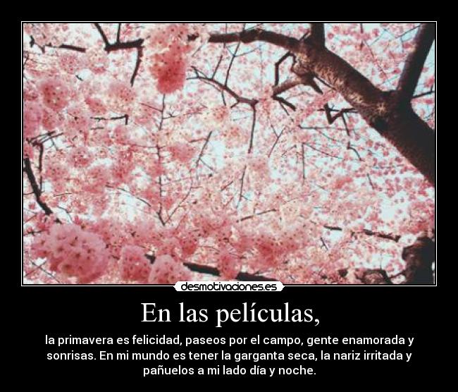 En las películas, - la primavera es felicidad, paseos por el campo, gente enamorada y
sonrisas. En mi mundo es tener la garganta seca, la nariz irritada y
pañuelos a mi lado día y noche.