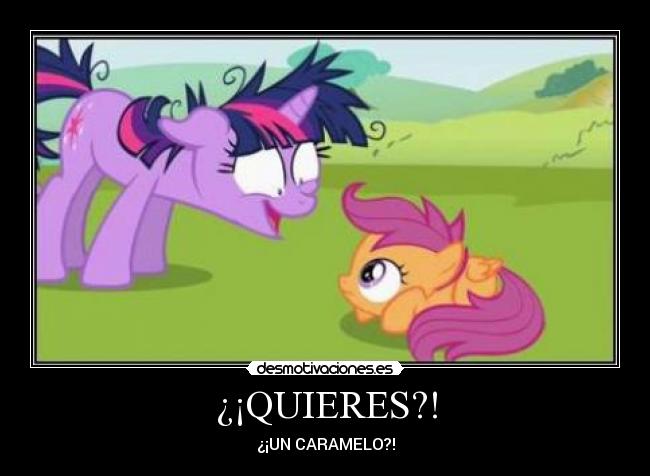 ¿¡QUIERES?! -