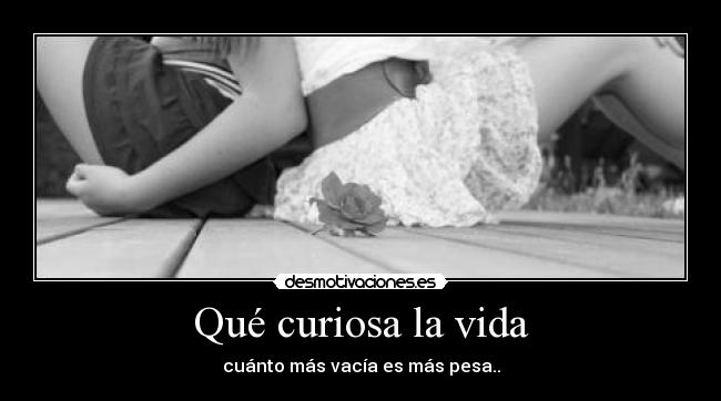 Qué curiosa la vida - 