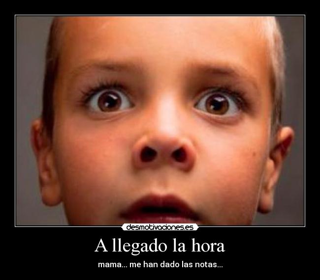 carteles mama han dado las notas desmotivaciones