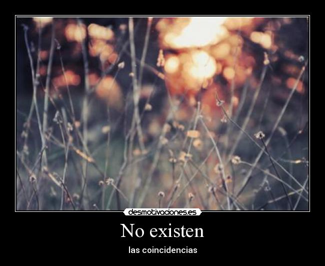 No existen - las coincidencias