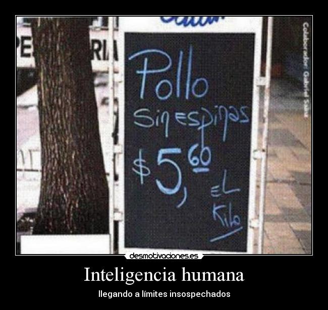 Inteligencia humana - 