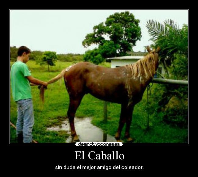 El Caballo - 