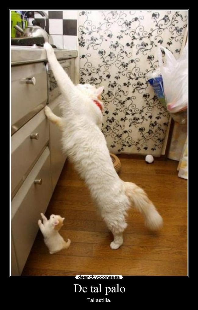 De tal palo - Tal astilla.
