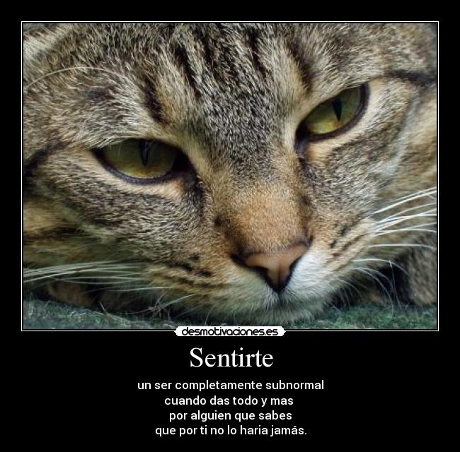 Sentirte - 