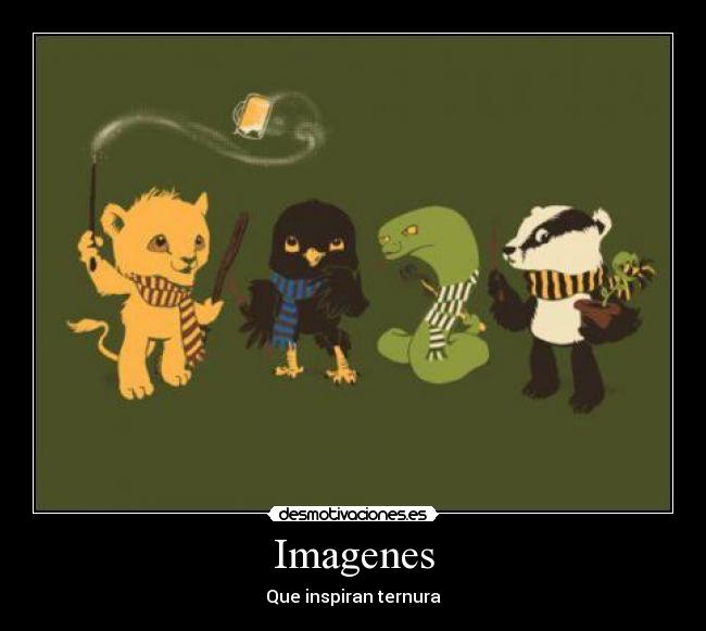 Imagenes -