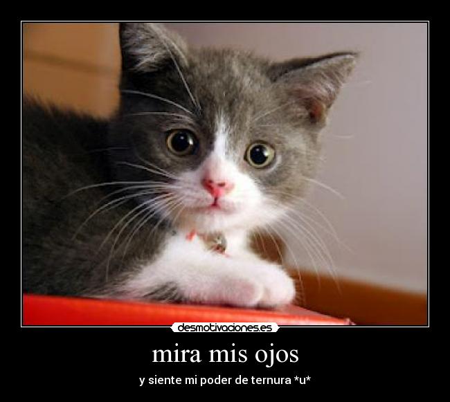 mira mis ojos - y siente mi poder de ternura *u*