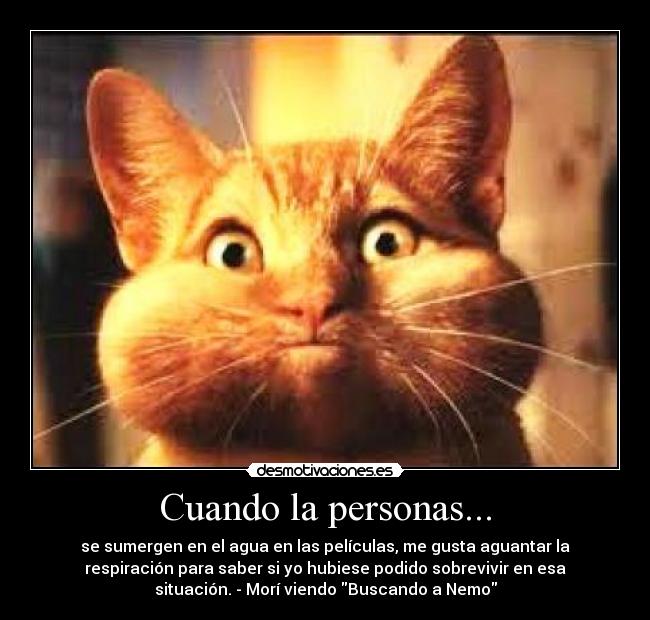 Cuando la personas... - se sumergen en el agua en las películas, me gusta aguantar la
respiración para saber si yo hubiese podido sobrevivir en esa
situación. - Morí viendo Buscando a Nemo