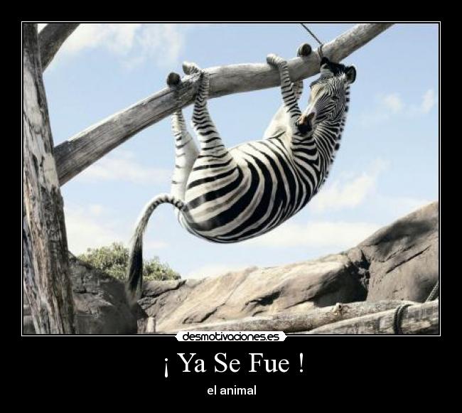 ¡ Ya Se Fue ! - el animal