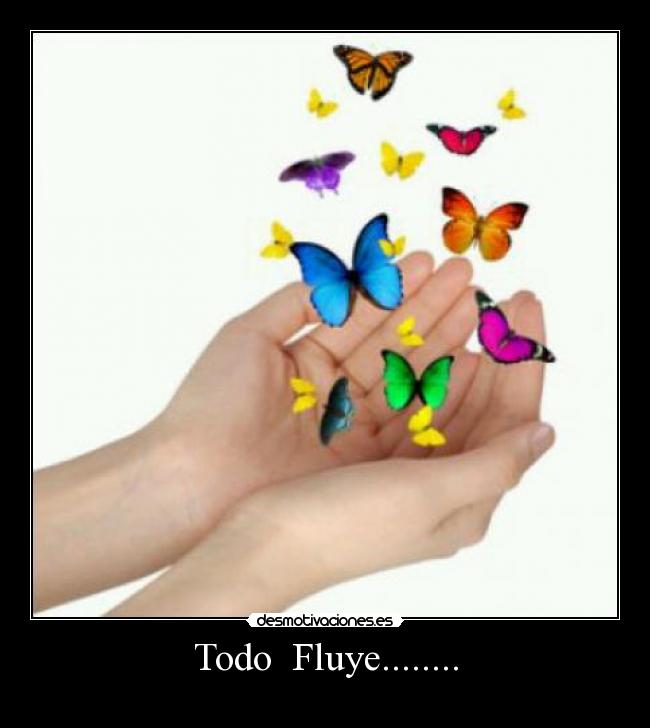 Todo  Fluye........ - 