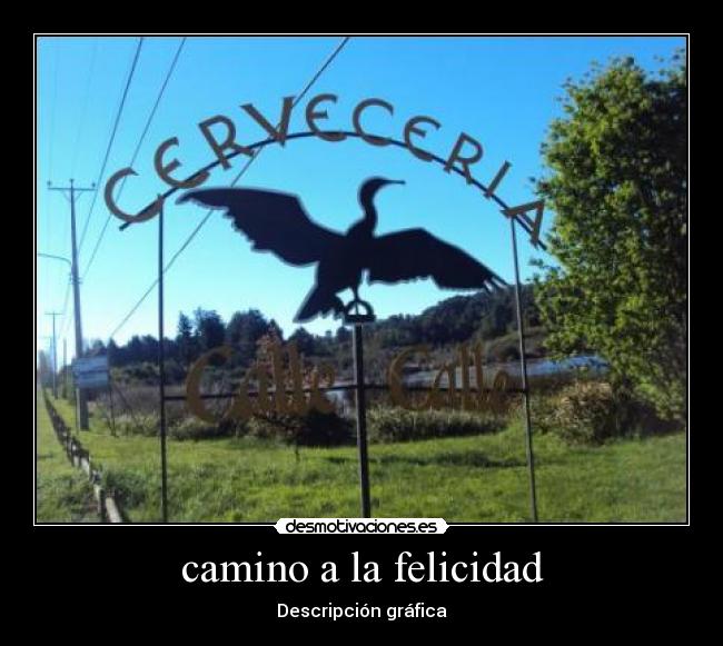 camino a la felicidad - Descripción gráfica