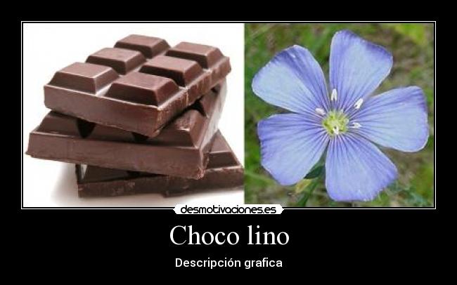 Choco lino - Descripción grafica
