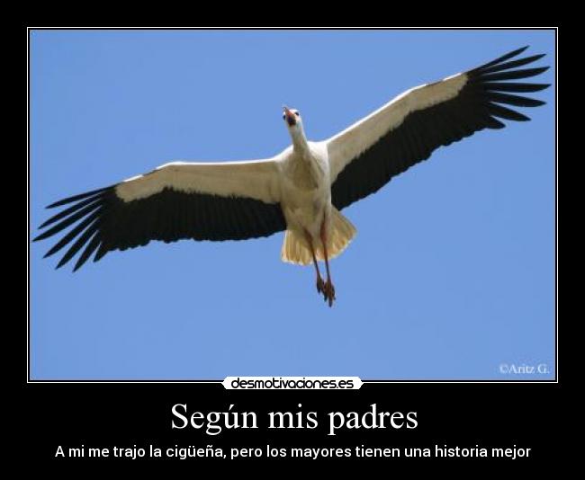 Según mis padres - A mi me trajo la cigüeña, pero los mayores tienen una historia mejor