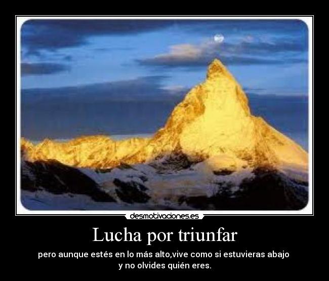 carteles desmotivaciones