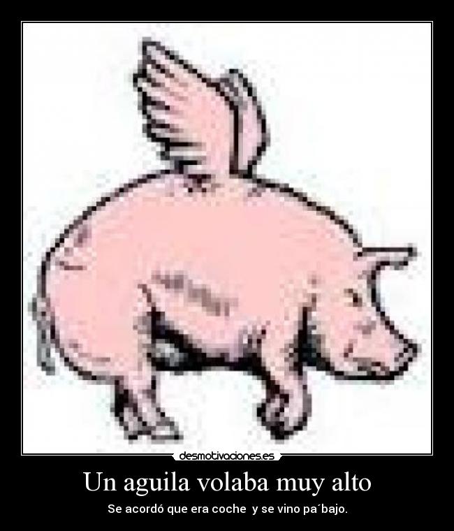 Un aguila volaba muy alto - Se acordó que era coche y se vino pa´bajo.