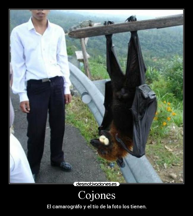 Cojones - 