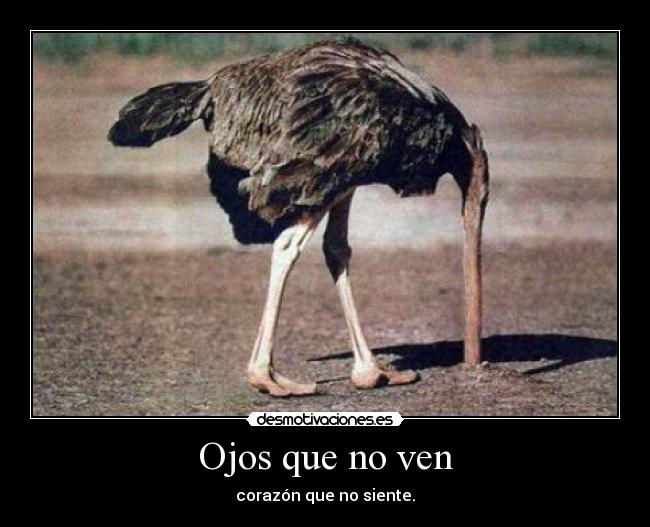 Ojos que no ven - 