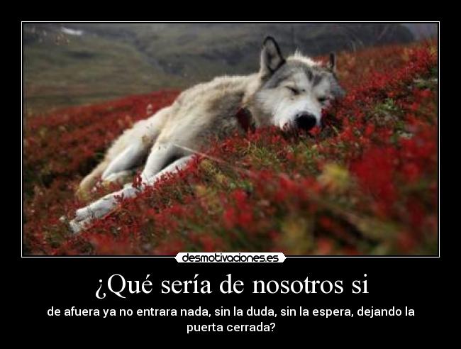 ¿Qué sería de nosotros si - de afuera ya no entrara nada, sin la duda, sin la espera, dejando la puerta cerrada?